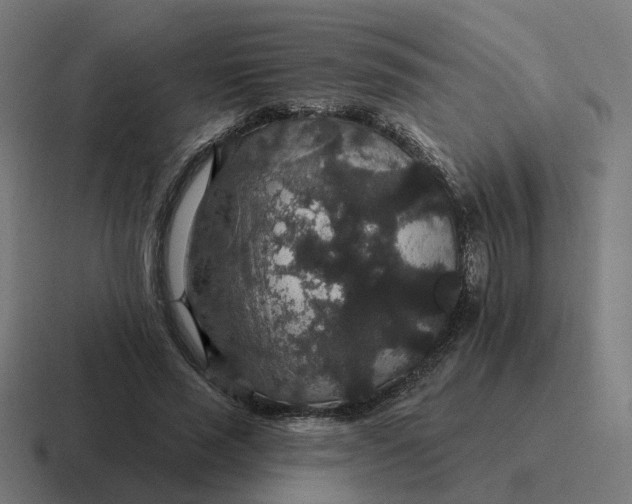 X0000116790637200912311917