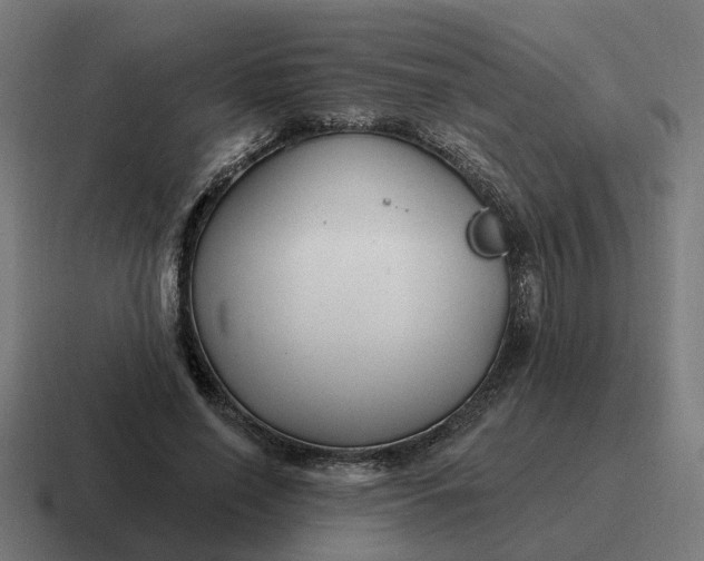 X0000116790638200912311917