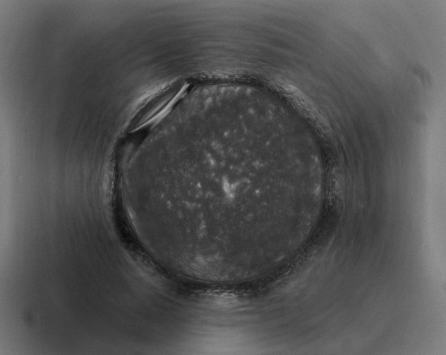 X0000116790640200912311917