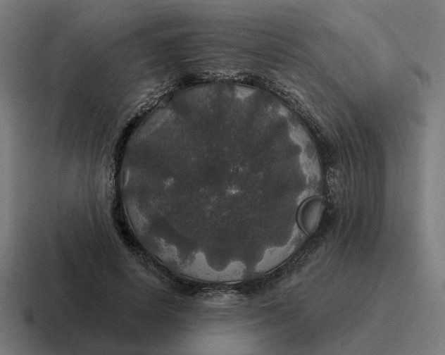 X0000116790642200912311917