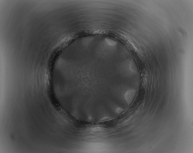 X0000116790643200912311917