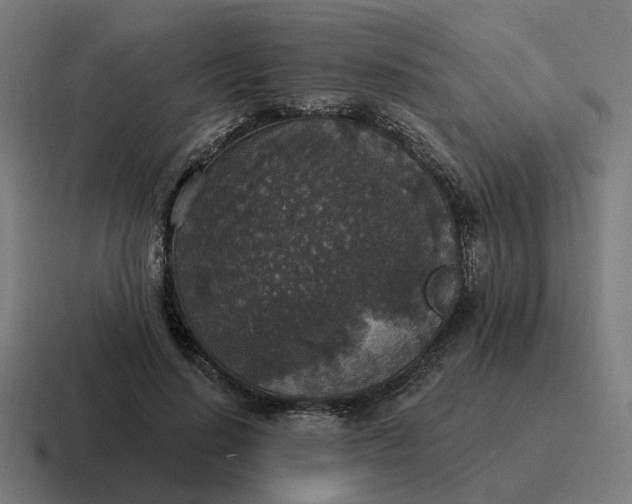 X0000116790644200912311917