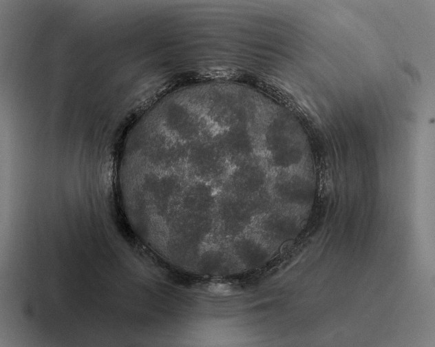 X0000116790647200912311917