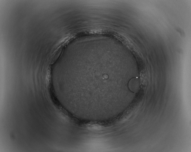 X0000116790648200912311918