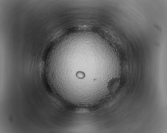 X0000116790649200912311918