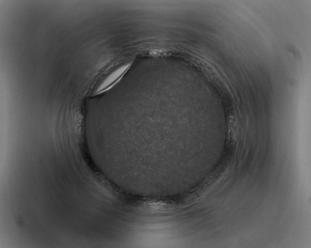 X0000116790650200912311918