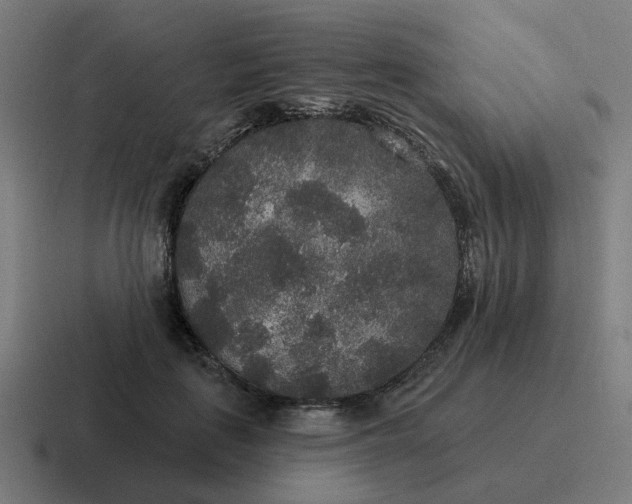 X0000116790651200912311918