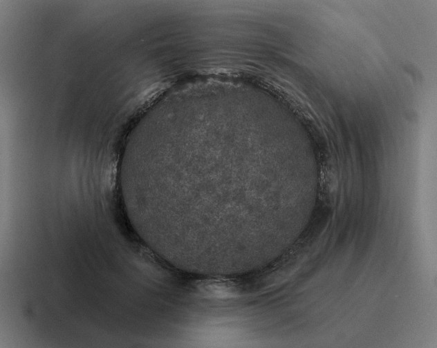 X0000116790652200912311918