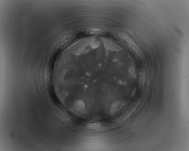 X0000116790653200912311918