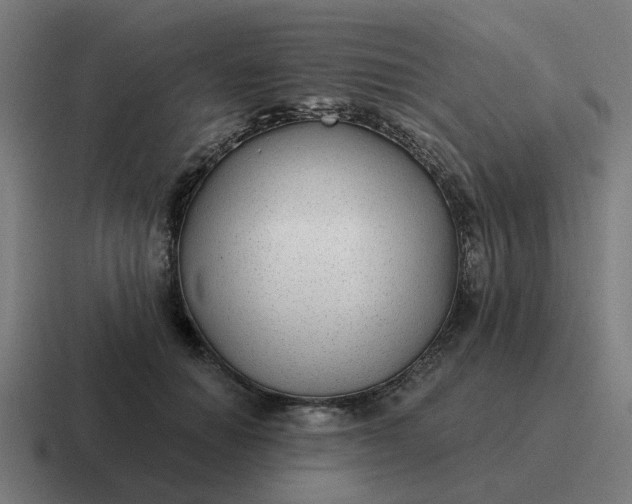 X0000116790654200912311918