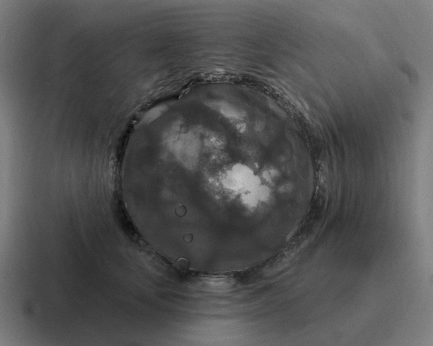 X0000116790659200912311918