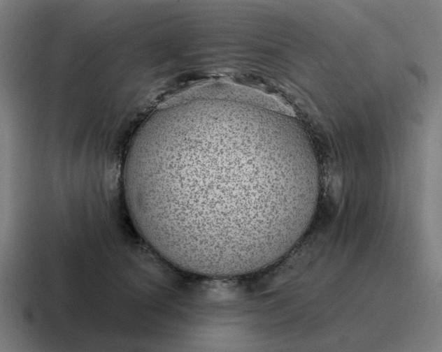 X0000116790660200912311918