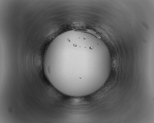 X0000116790662200912311918