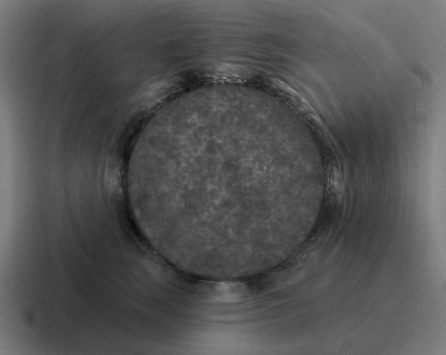 X0000116790663200912311918