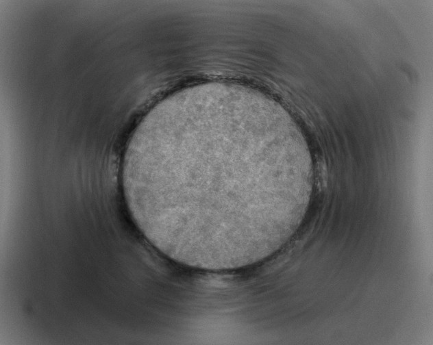 X0000116790664200912311918