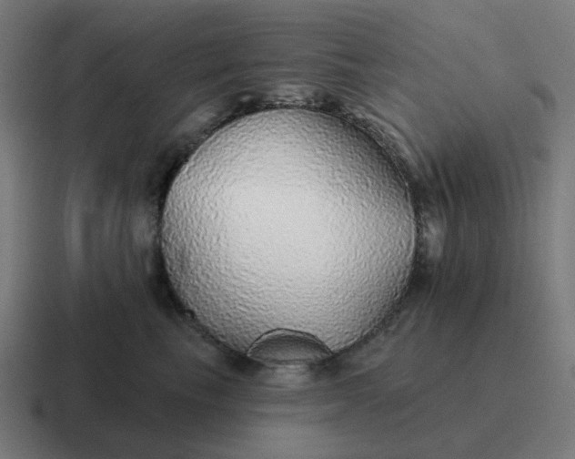 X0000116790665200912311918