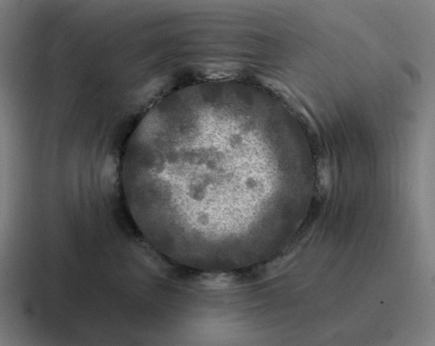 X0000116790667200912311918