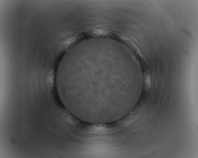 X0000116790668200912311918