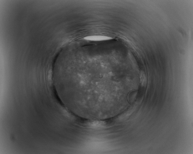 X0000116790670200912311918