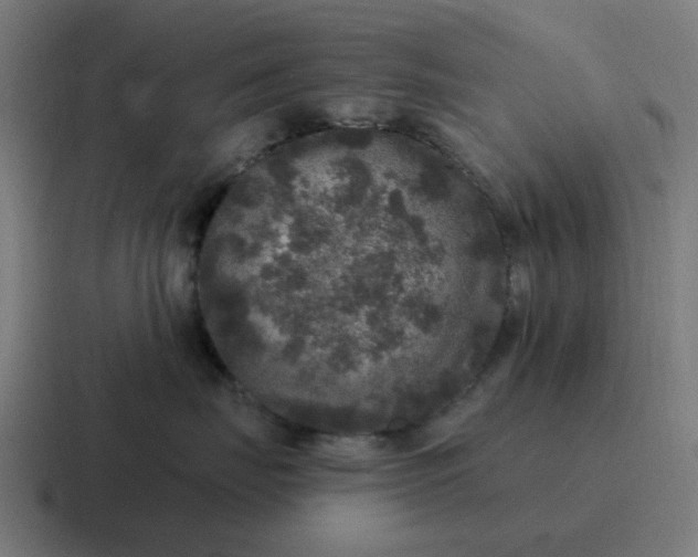 X0000116790671200912311918