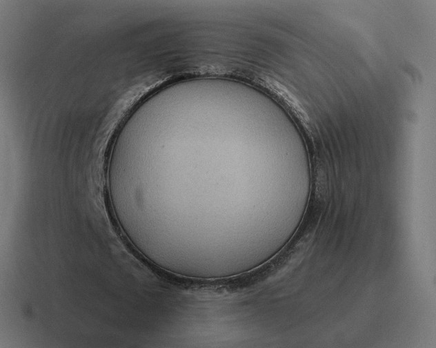 X0000116790673200912311917