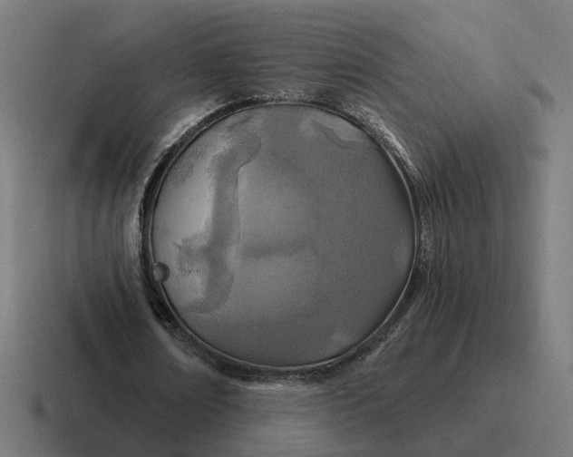 X0000116790674200912311917