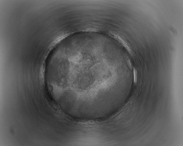 X0000116790675200912311917