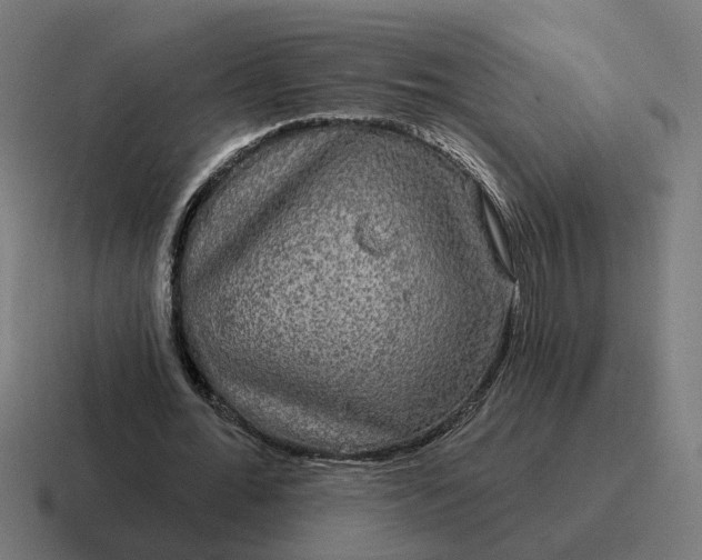 X0000116790676200912311917