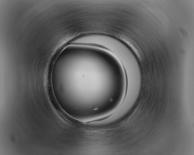 X0000116790677200912311917