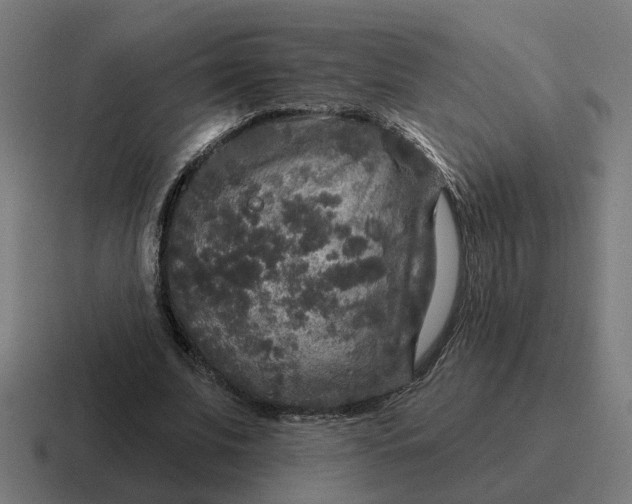 X0000116790679200912311917