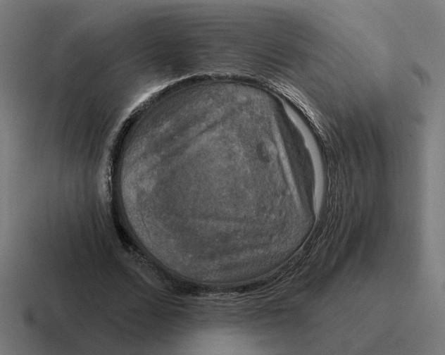 X0000116790680200912311917