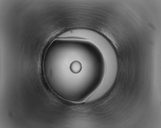 X0000116790681200912311917