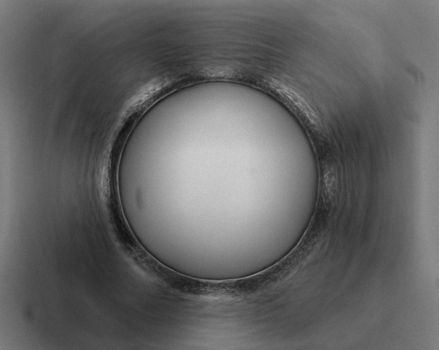 X0000116790682200912311917