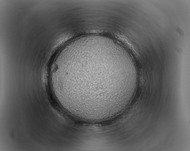 X0000116790683200912311917