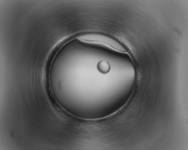 X0000116790684200912311917