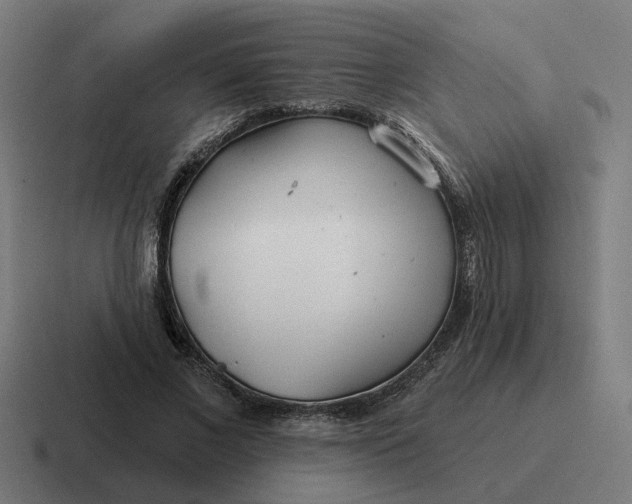 X0000116790685200912311917