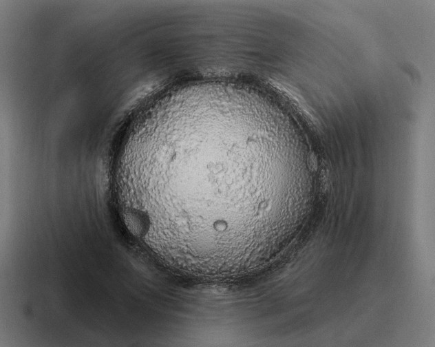 X0000116790687200912311917