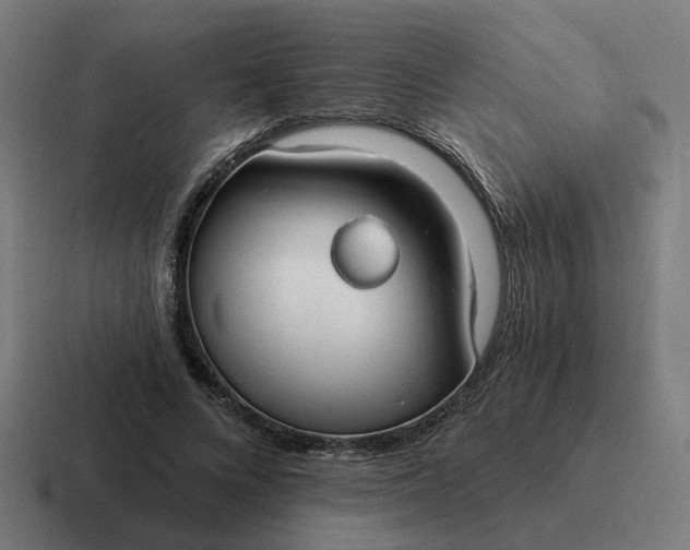 X0000116790688200912311917