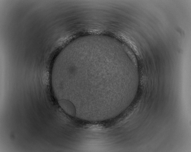 X0000116790689200912311917