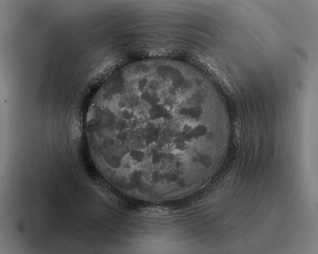 X0000116790691200912311917