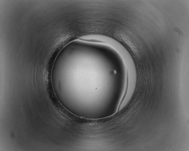 X0000116790692200912311917