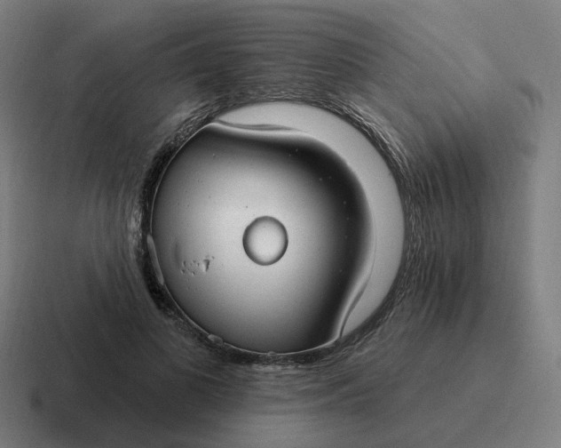 X0000116790693200912311917