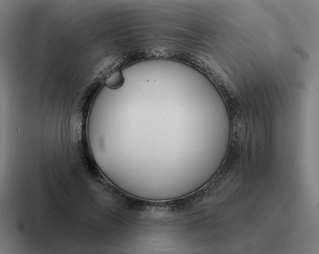 X0000116790694200912311917