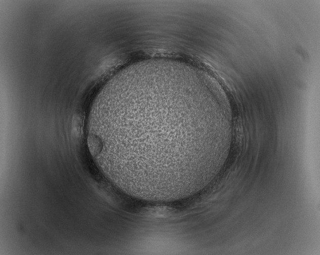 X0000116790695200912311917