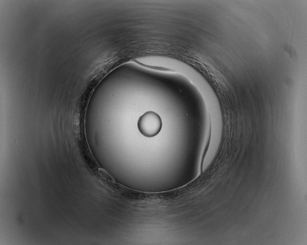 X0000116790696200912311917