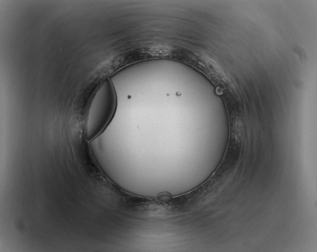 X0000116790697200912311917