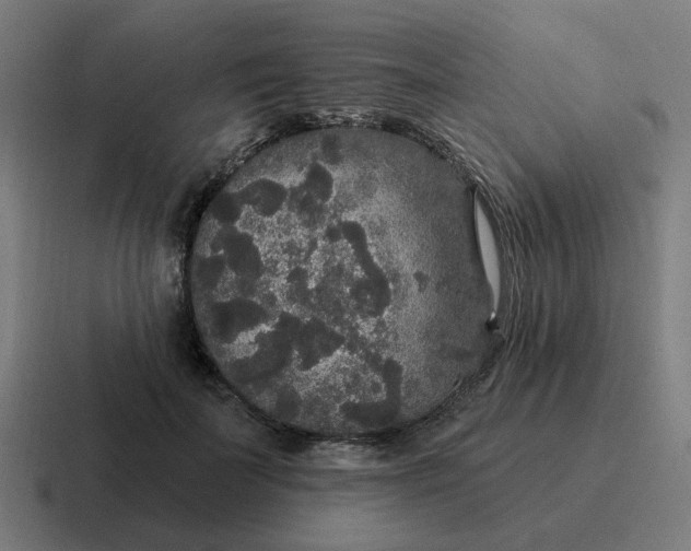 X0000116790699200912311917