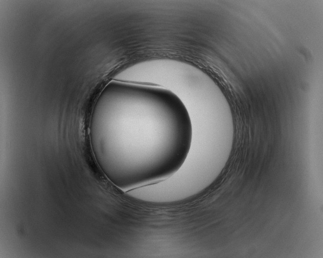 X0000116790700200912311917