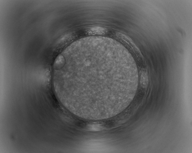 X0000116790701200912311917