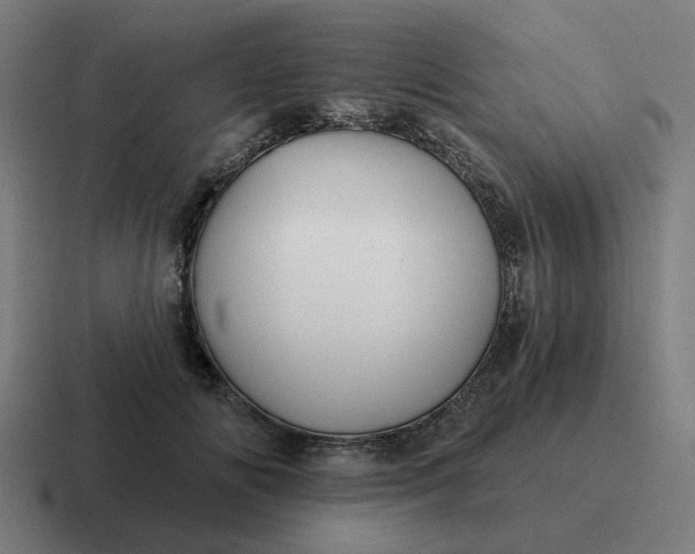 X0000116790702200912311917